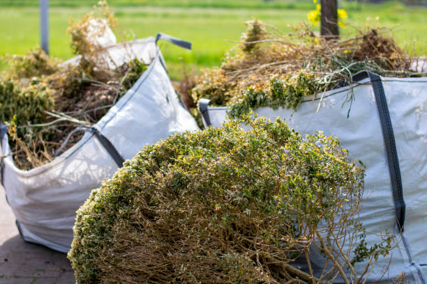 Best Yard Waste Removal  in Flagstaff, AZ