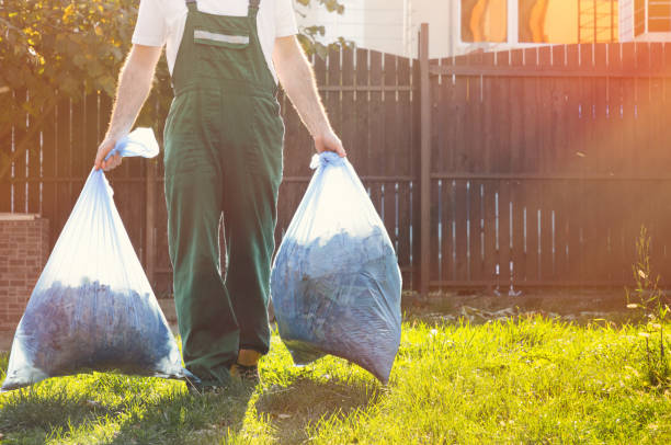 Best Basement Cleanout Services  in Flagstaff, AZ