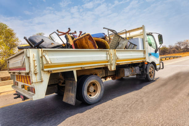 Yard Cleanup Services in Flagstaff, AZ